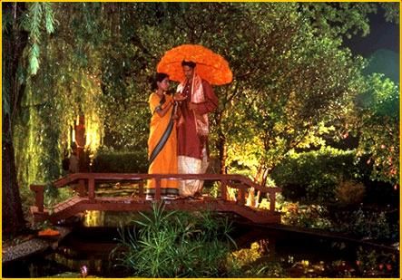 alice and pk wedding